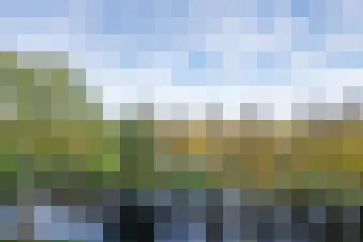 Voorsteven 81 Amsterdam thumbnail 41