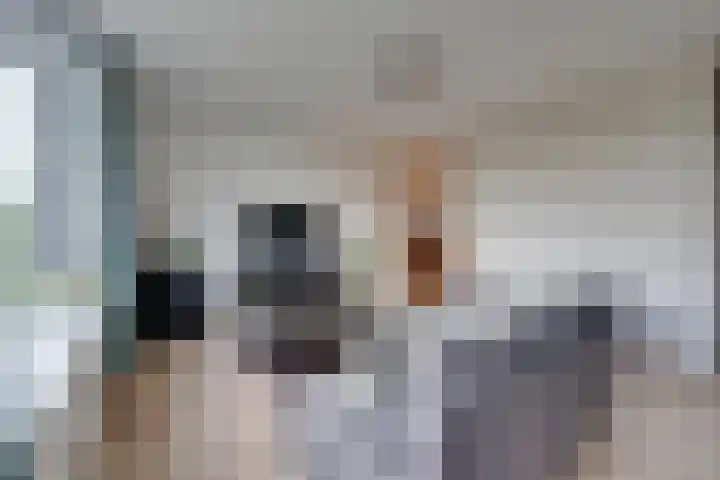 Voorsteven 81 Amsterdam thumbnail 6