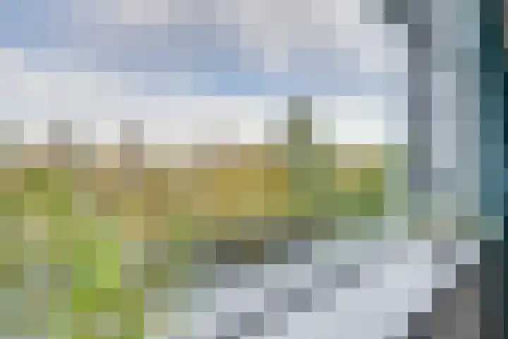 Voorsteven 81 Amsterdam thumbnail 8