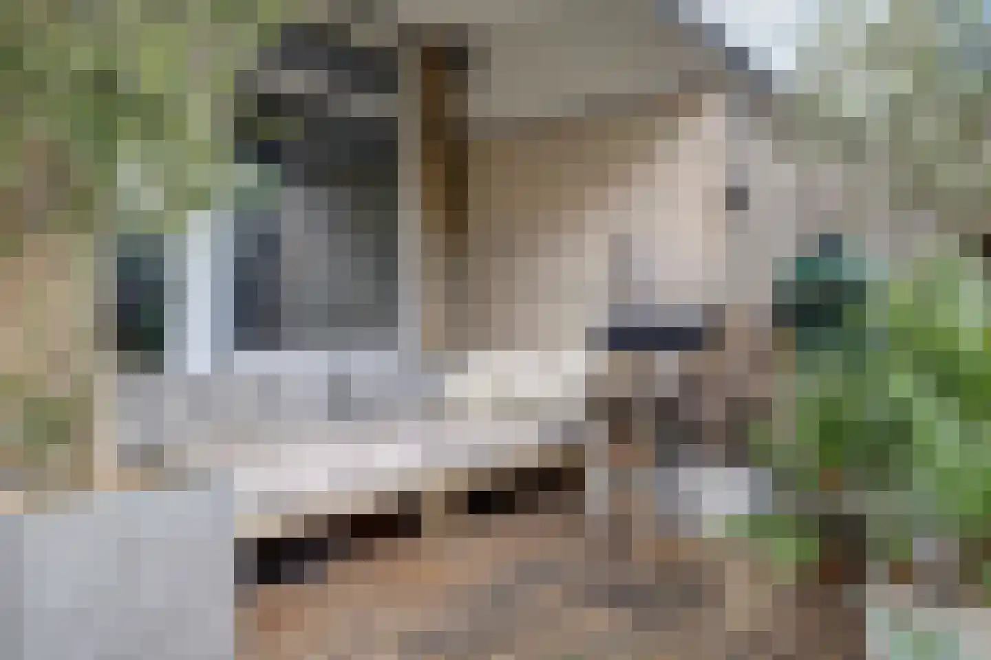Voorsteven 82 Amsterdam thumbnail 21