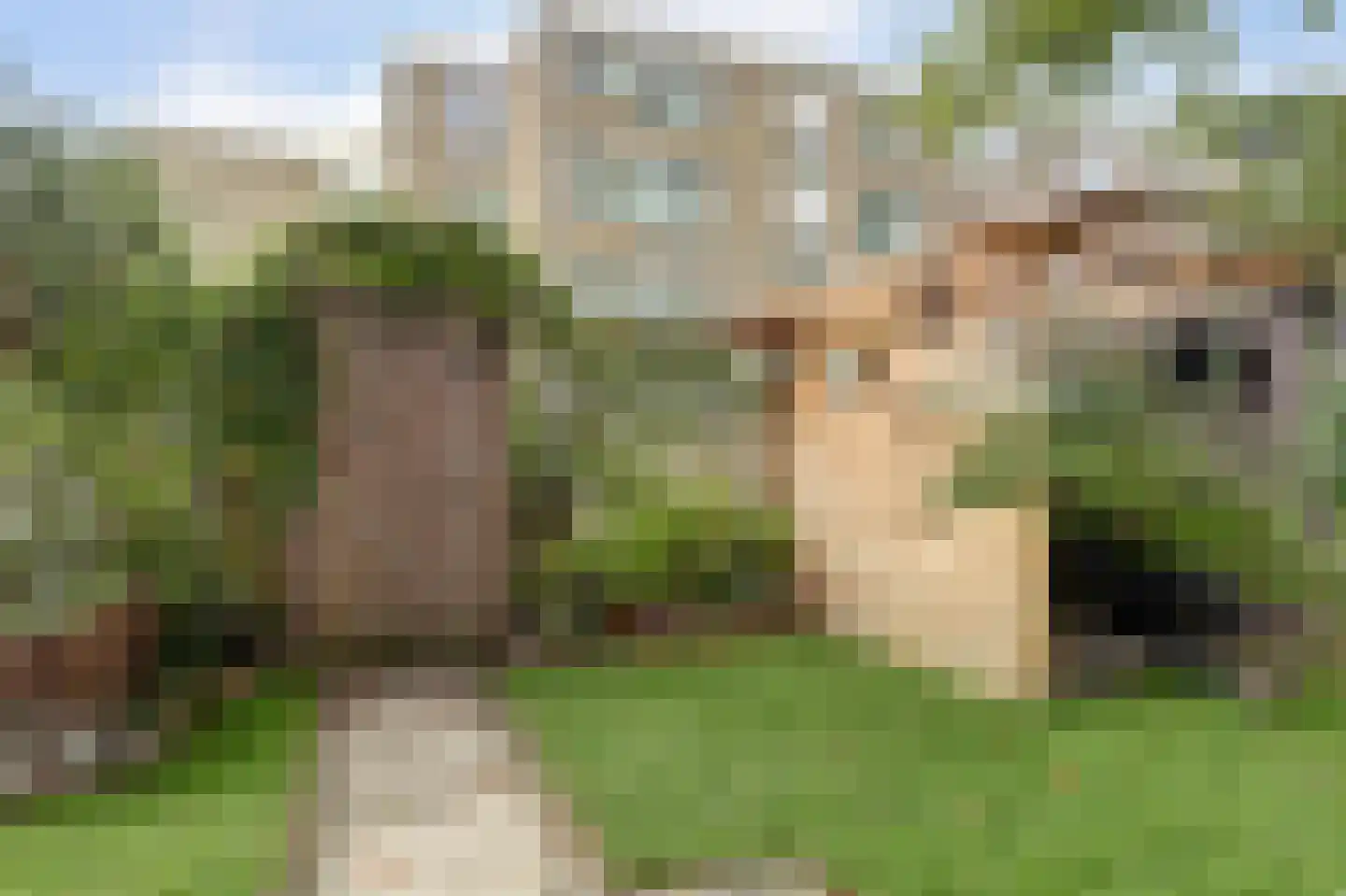 Voorsteven 82 Amsterdam thumbnail 22