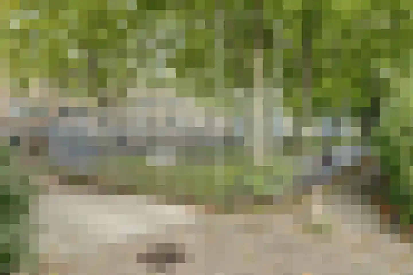 Voorsteven 82 Amsterdam thumbnail 34