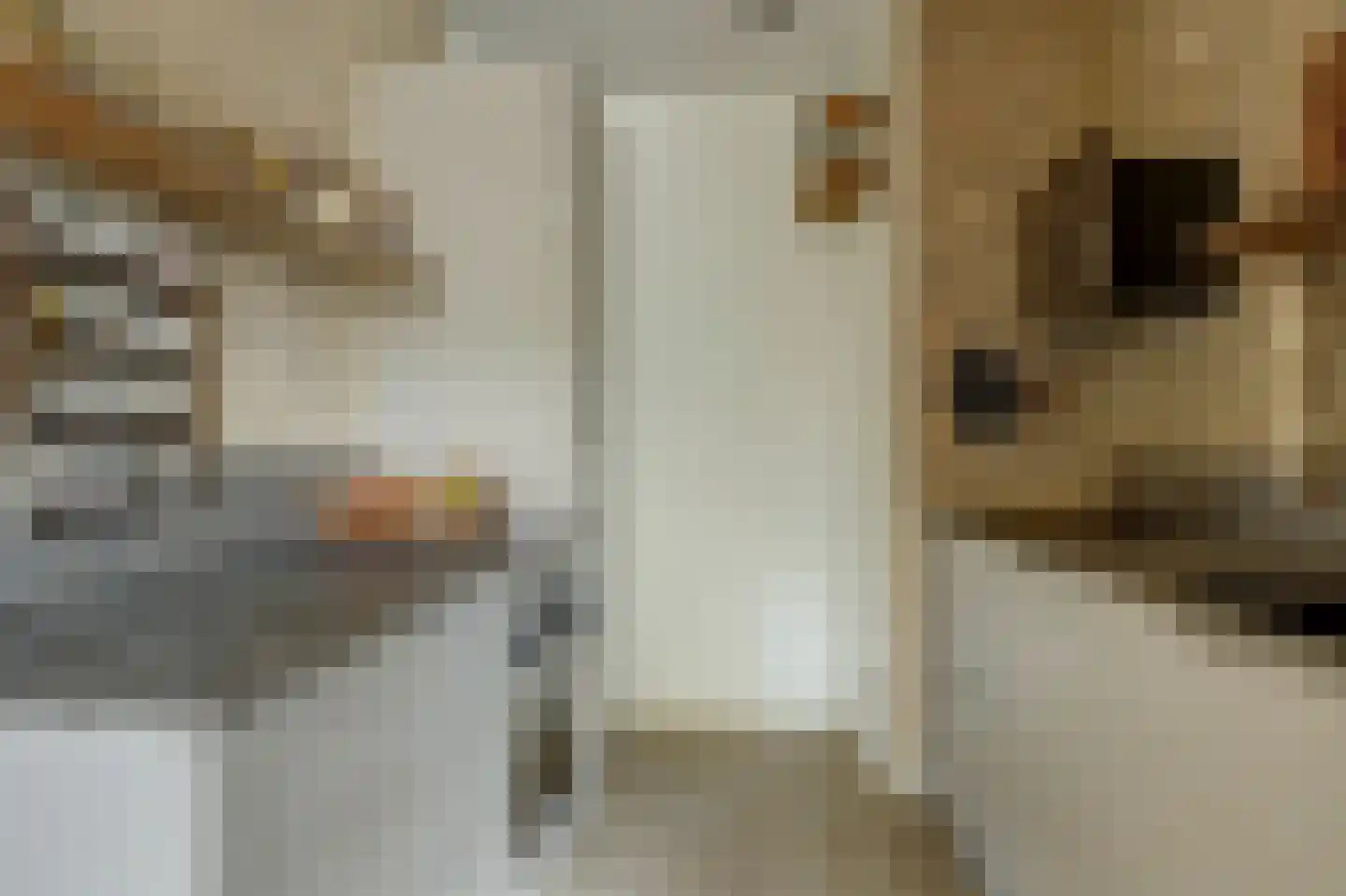 Voorsteven 82 Amsterdam thumbnail 8