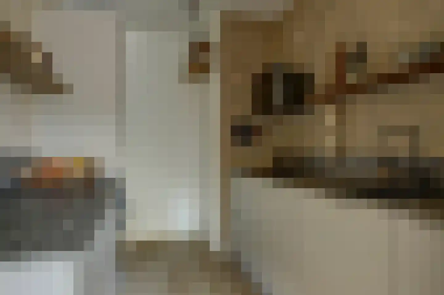 Voorsteven 82 Amsterdam thumbnail 9