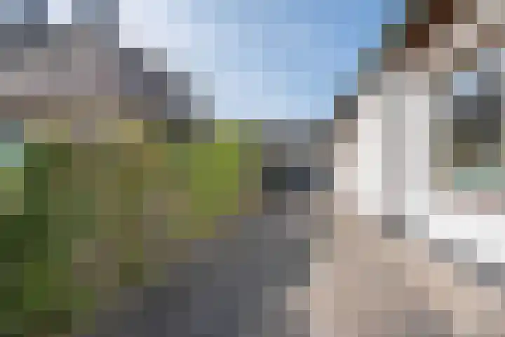 Voorstevliet 27 Werkendam thumbnail 14
