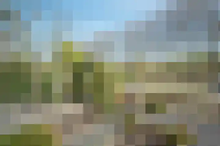 Voorstevliet 27 Werkendam thumbnail 15