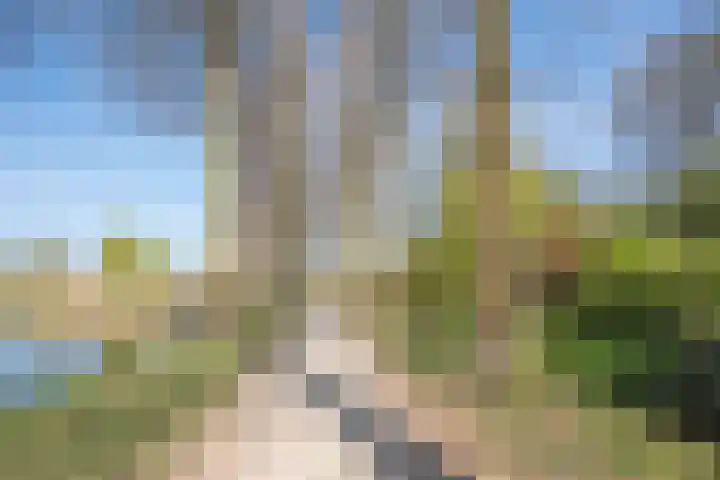 Voorstevliet 27 Werkendam thumbnail 18