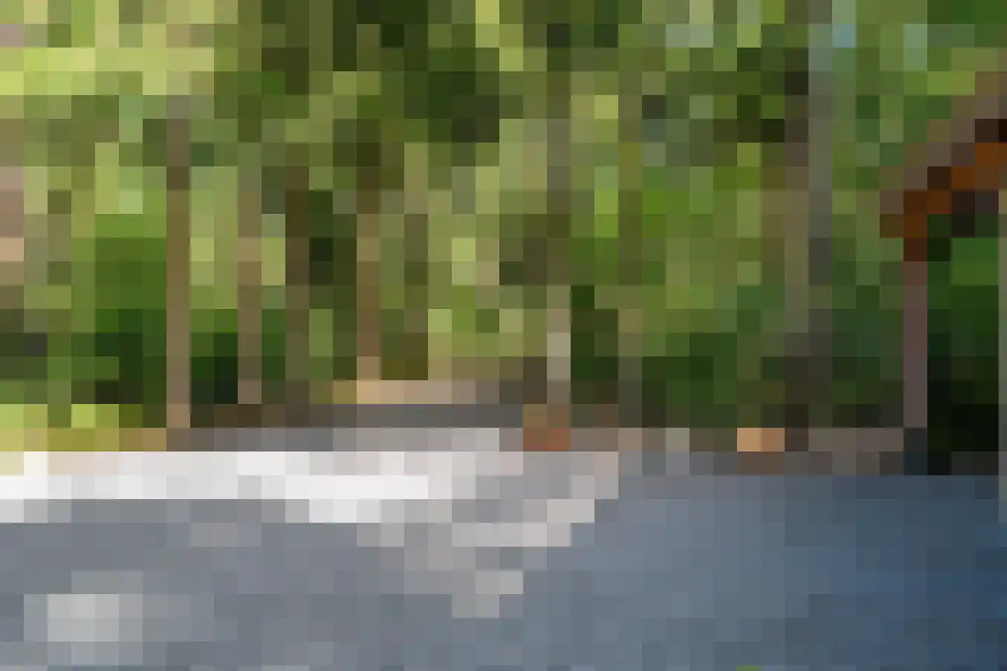 Voorsteweg 13 Norg thumbnail 10