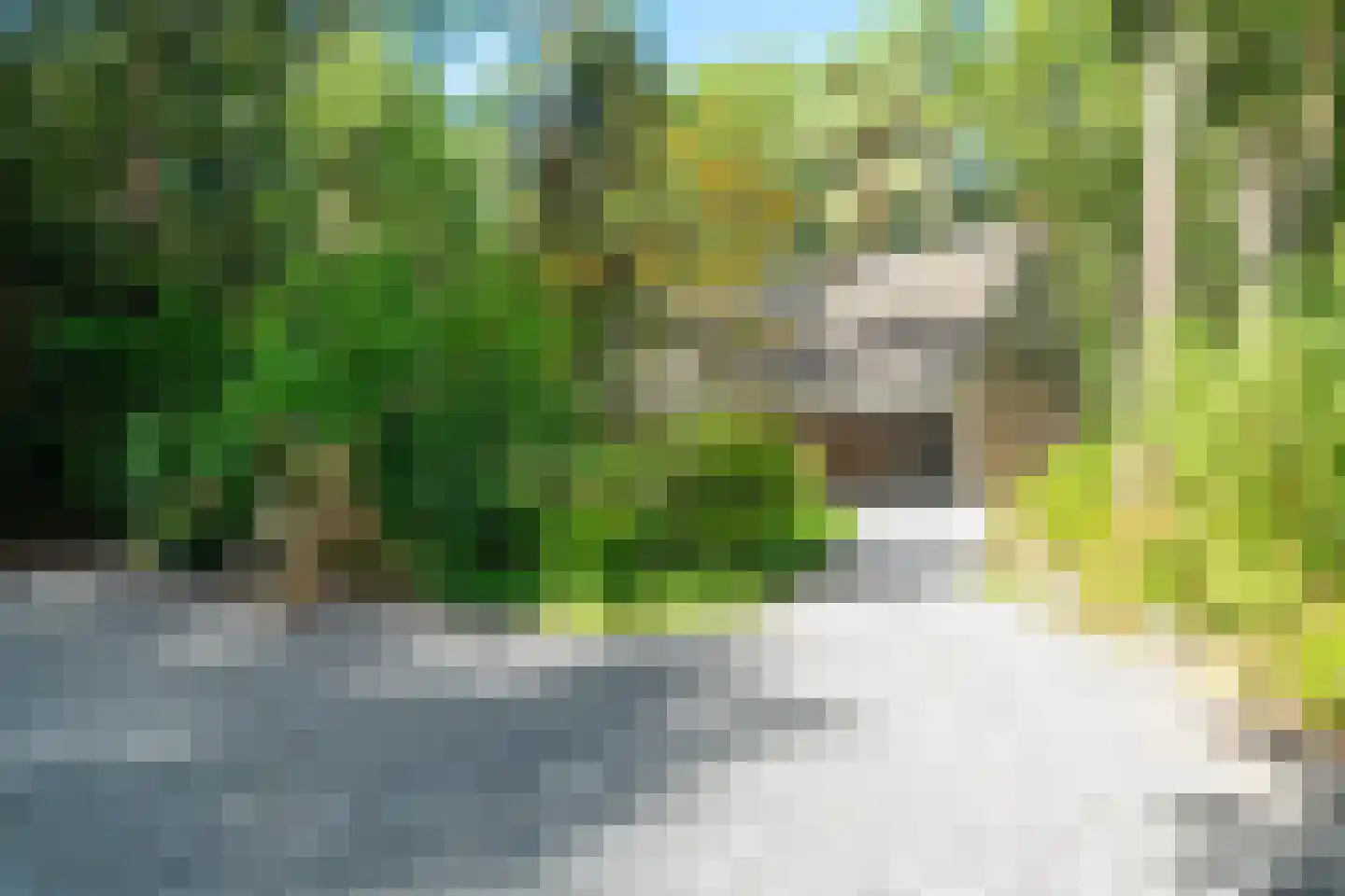 Voorsteweg 13 Norg thumbnail 12