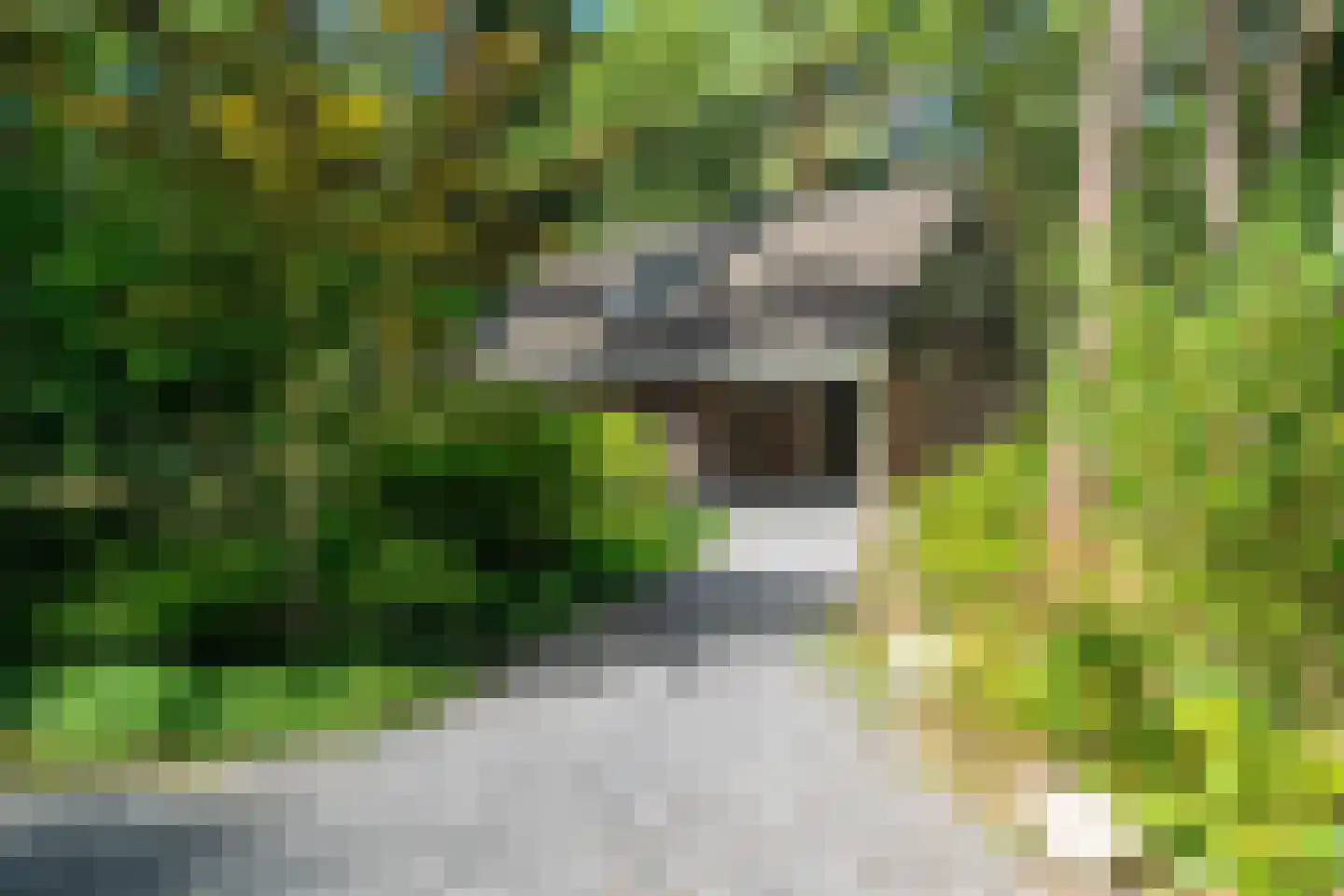 Voorsteweg 13 Norg thumbnail 13