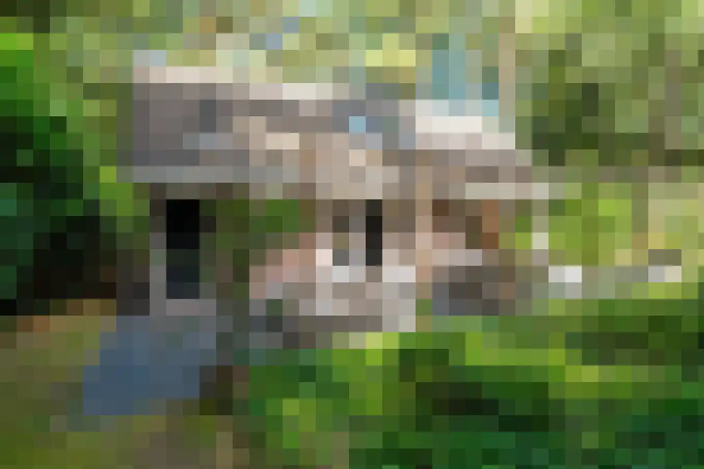 Voorsteweg 13 Norg thumbnail 14
