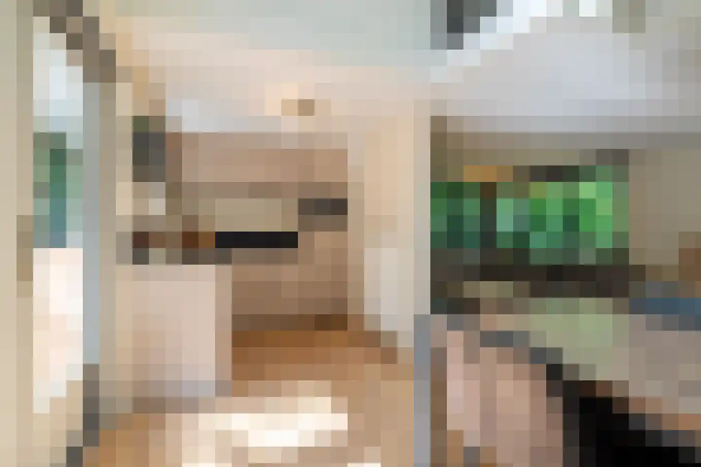 Voorsteweg 13 Norg thumbnail 27
