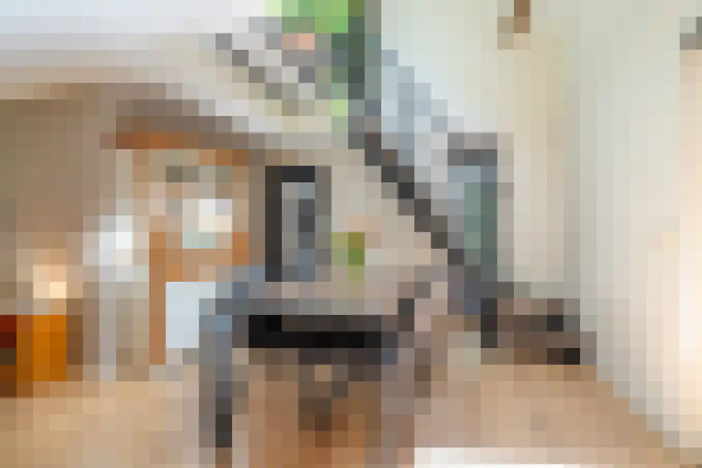 Voorsteweg 13 Norg thumbnail 30
