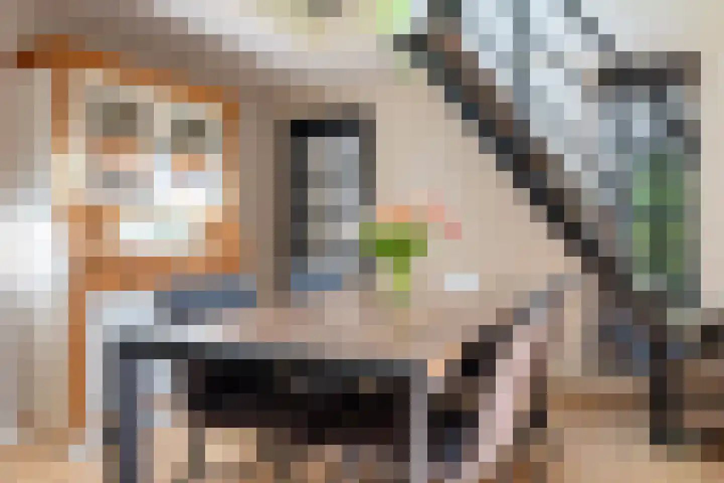 Voorsteweg 13 Norg thumbnail 31