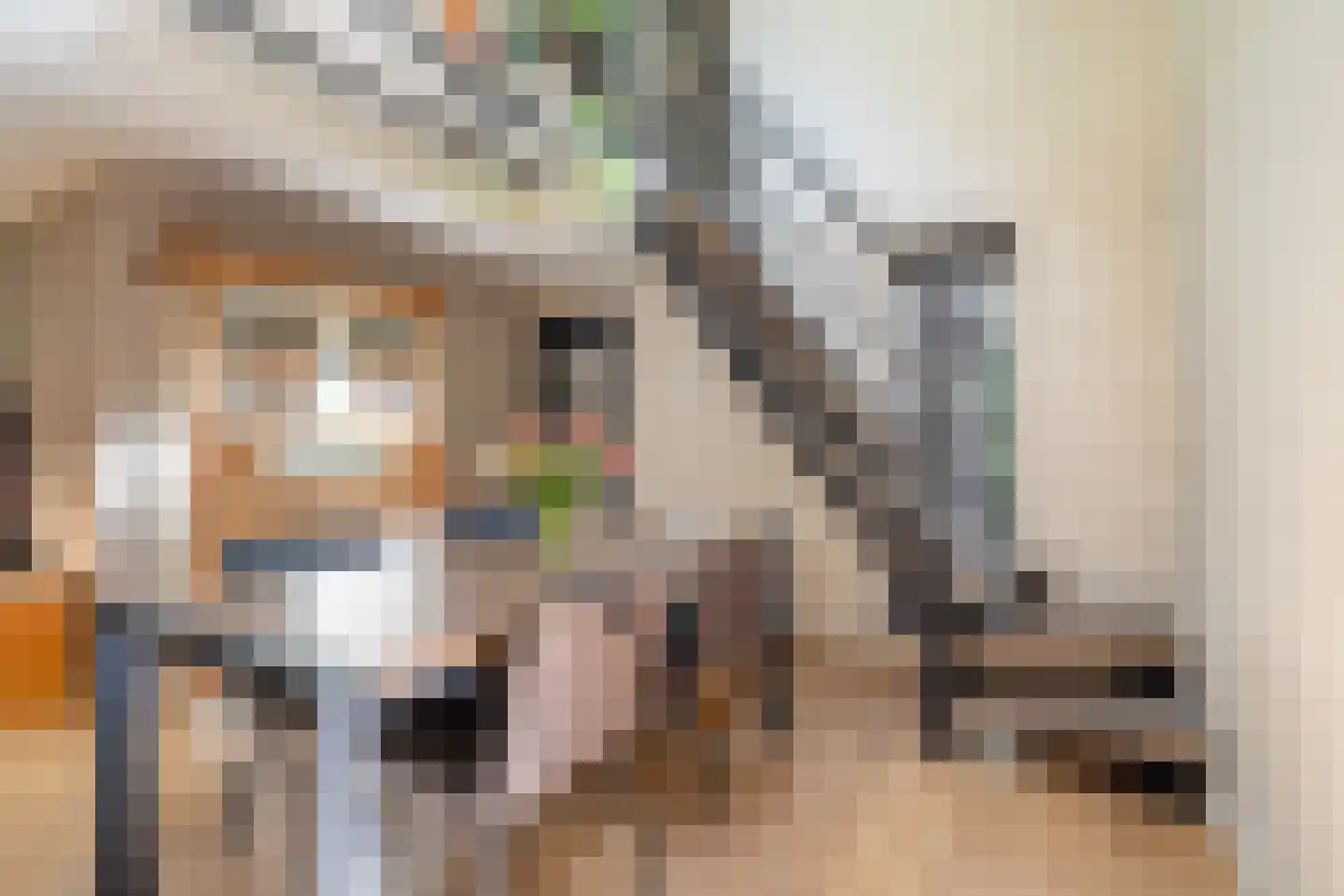 Voorsteweg 13 Norg thumbnail 33