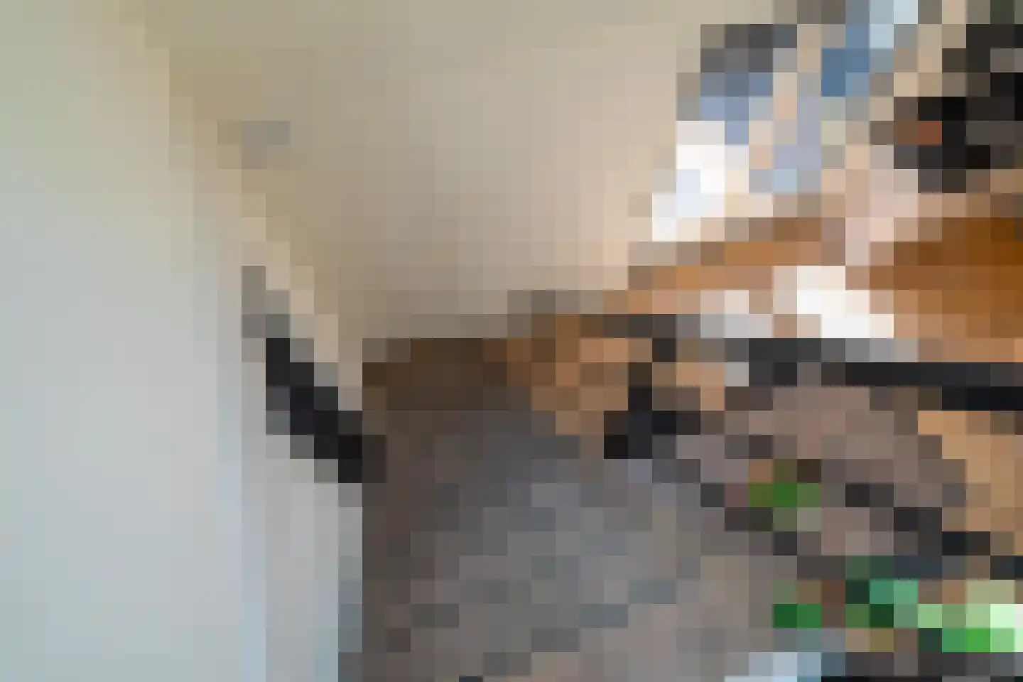 Voorsteweg 13 Norg thumbnail 35