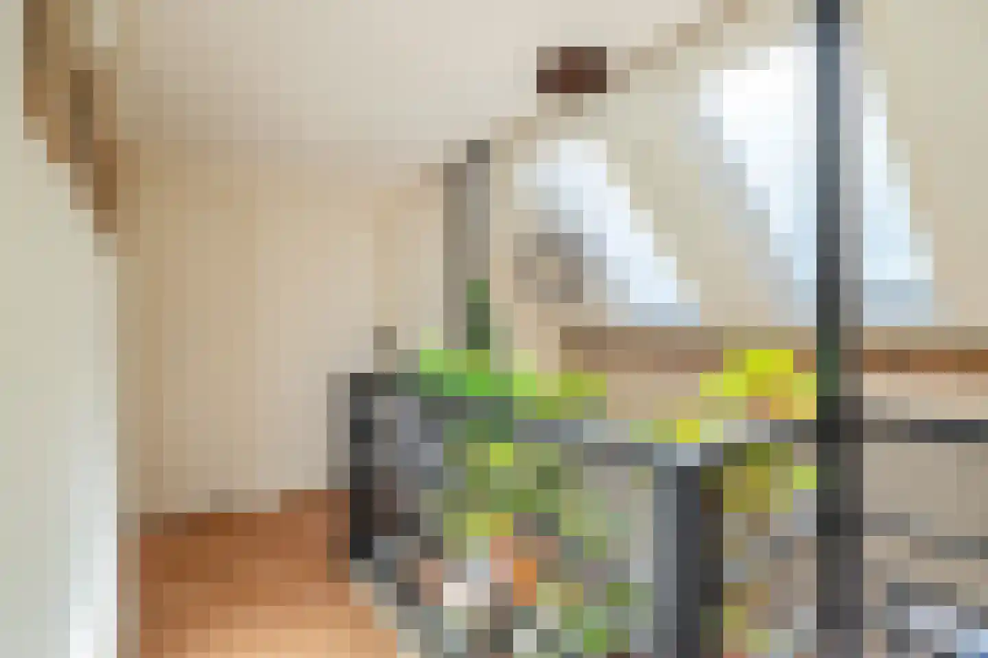 Voorsteweg 13 Norg thumbnail 36