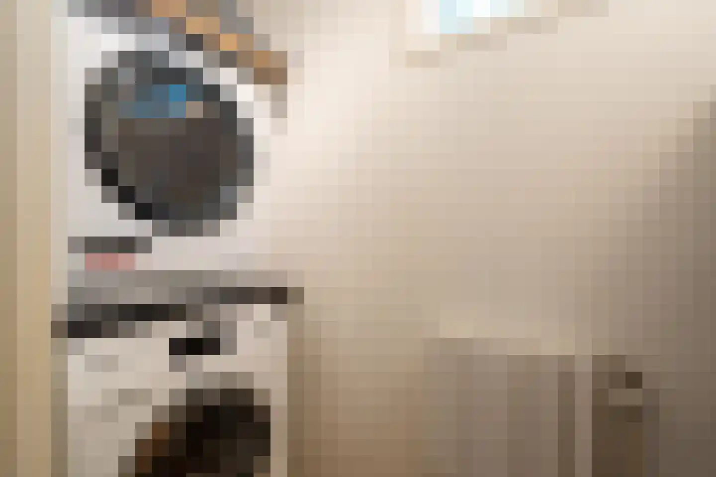 Voorsteweg 13 Norg thumbnail 52