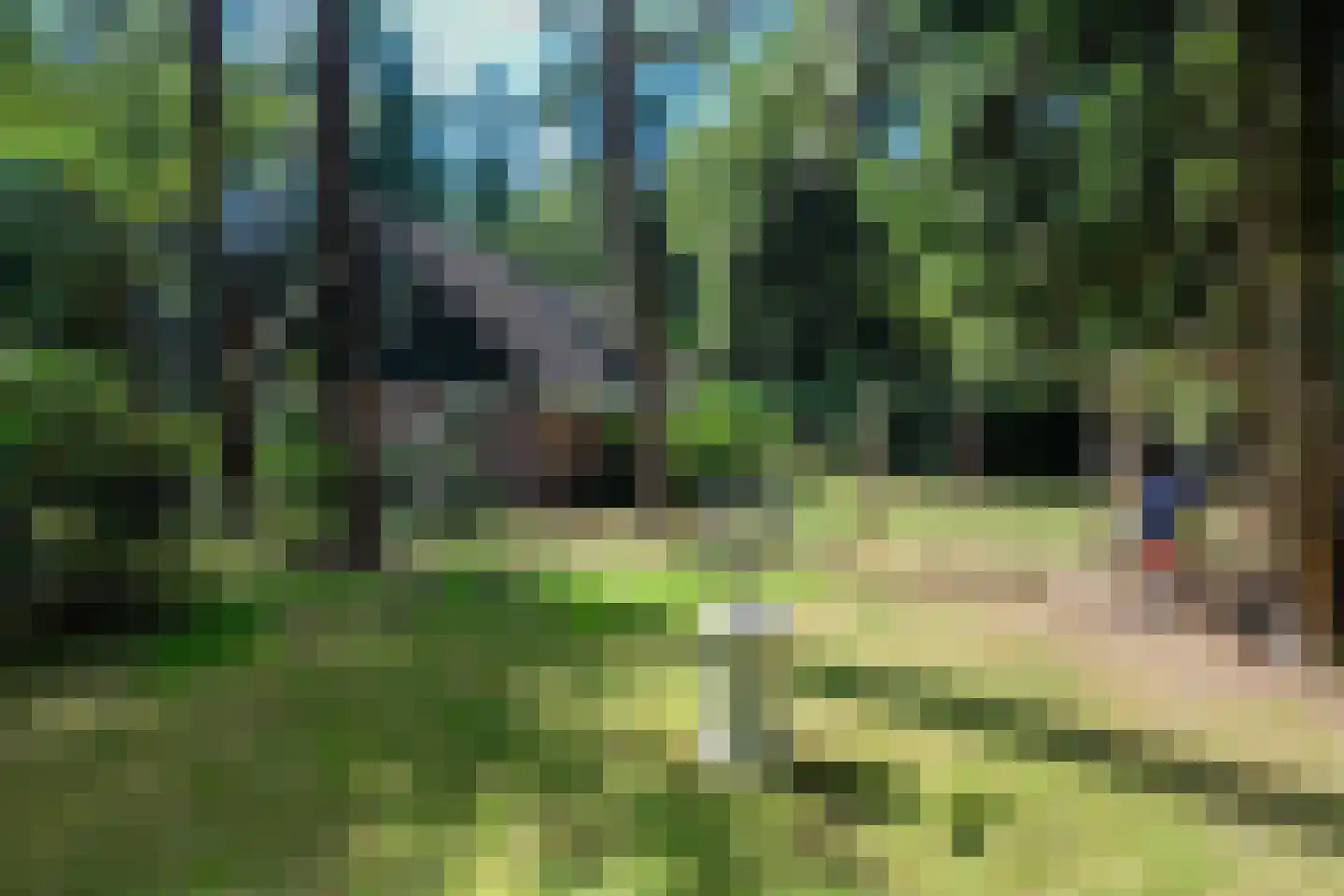 Voorsteweg 13 Norg thumbnail 53