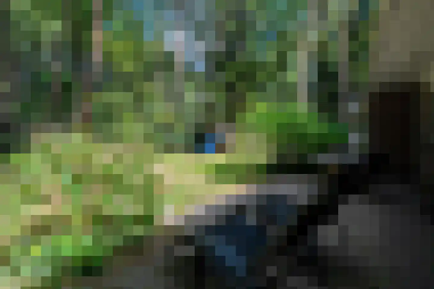 Voorsteweg 13 Norg thumbnail 56