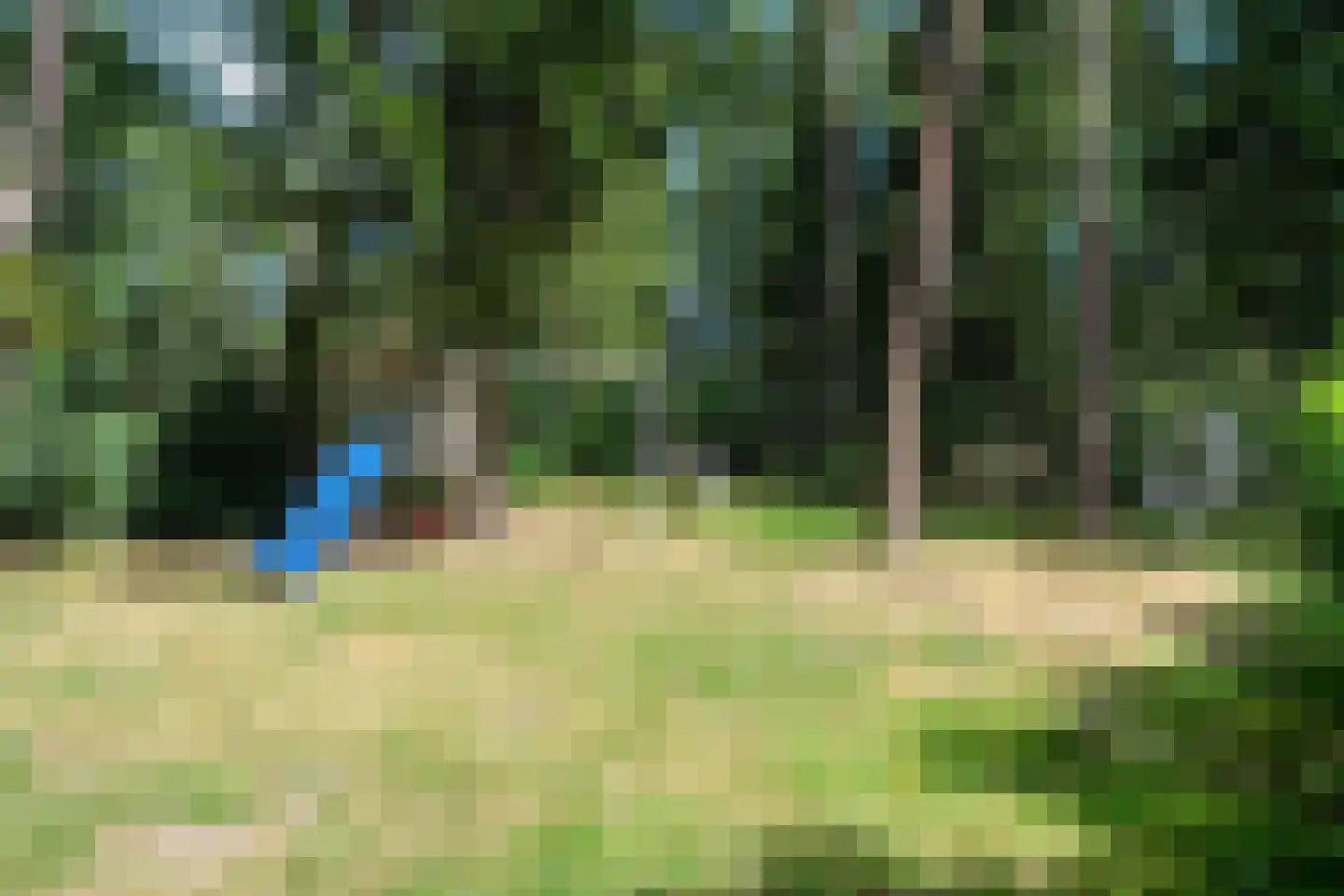 Voorsteweg 13 Norg thumbnail 58