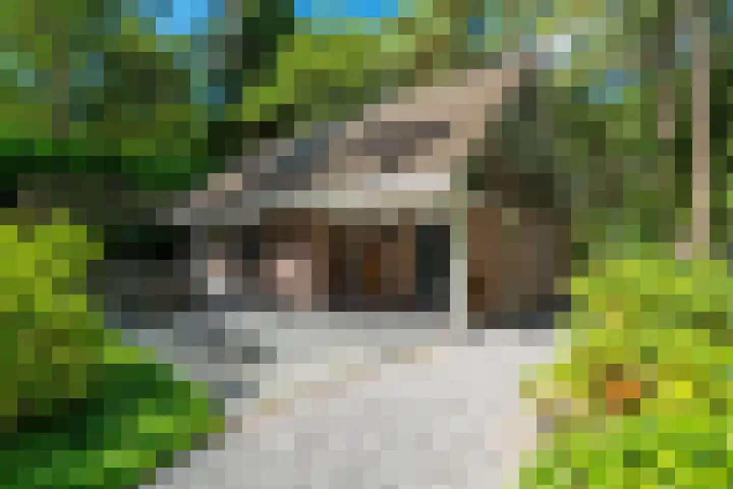 Voorsteweg 13 Norg thumbnail 59