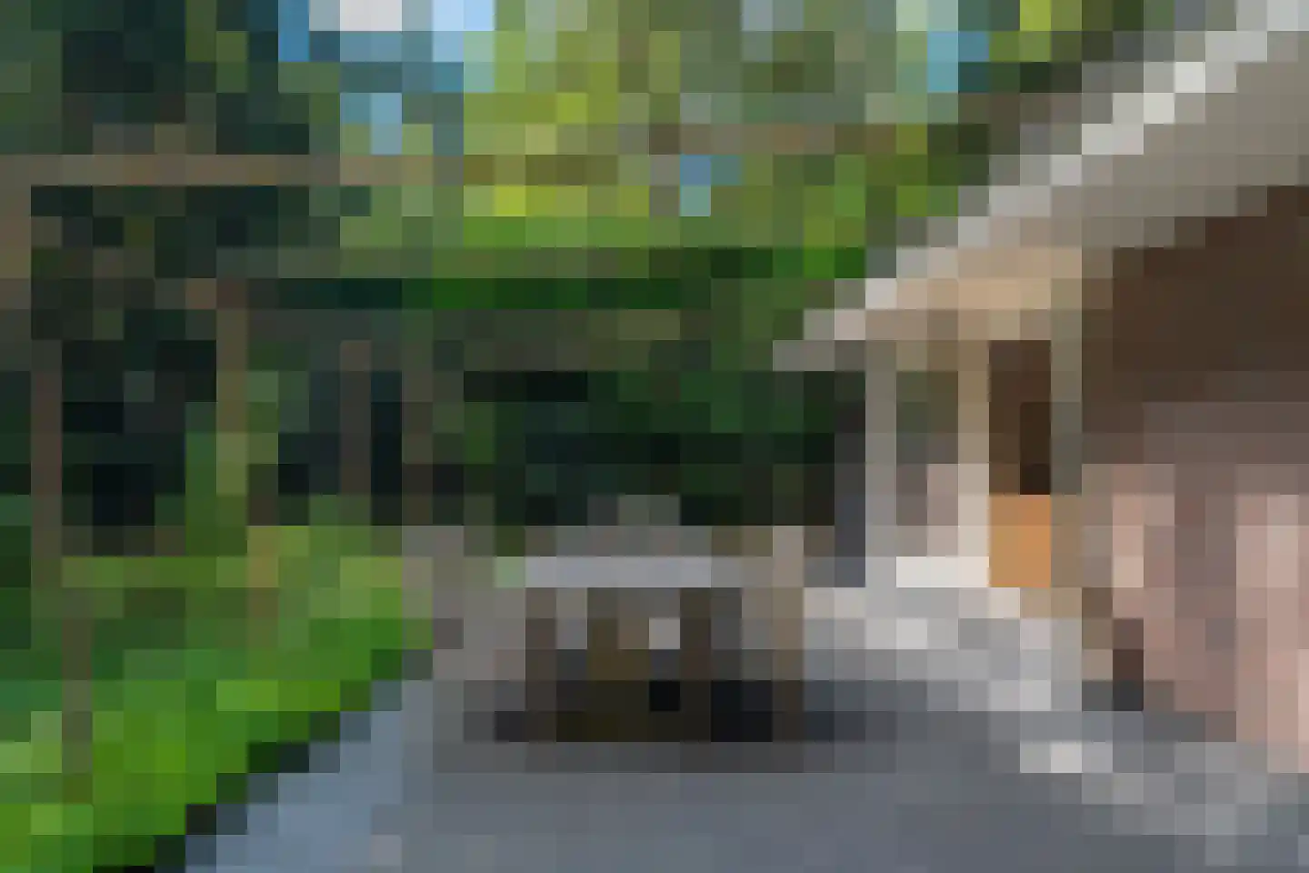 Voorsteweg 13 Norg thumbnail 60