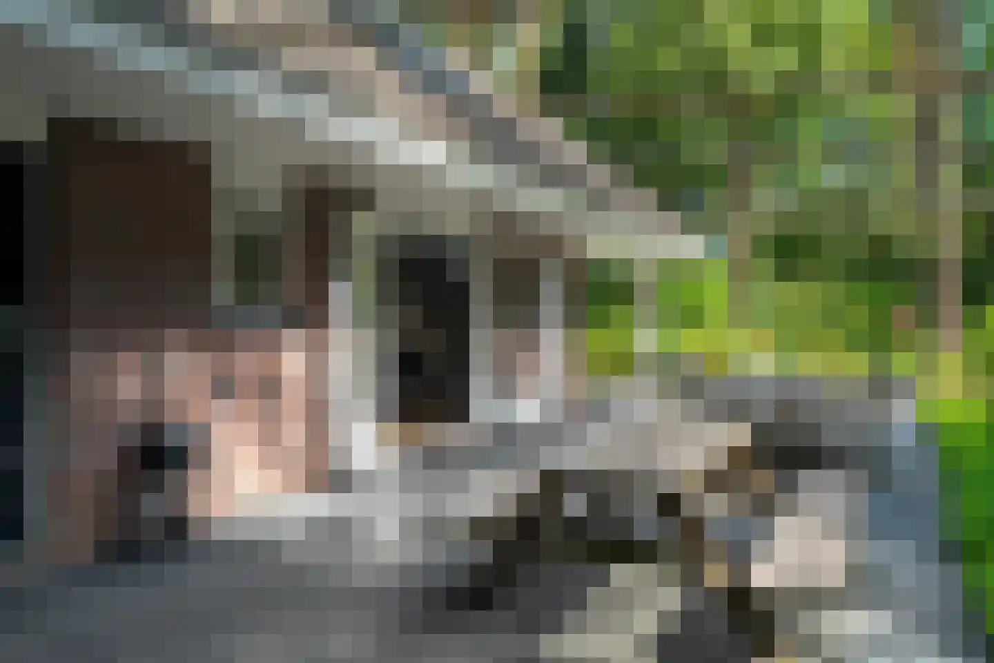 Voorsteweg 13 Norg thumbnail 61