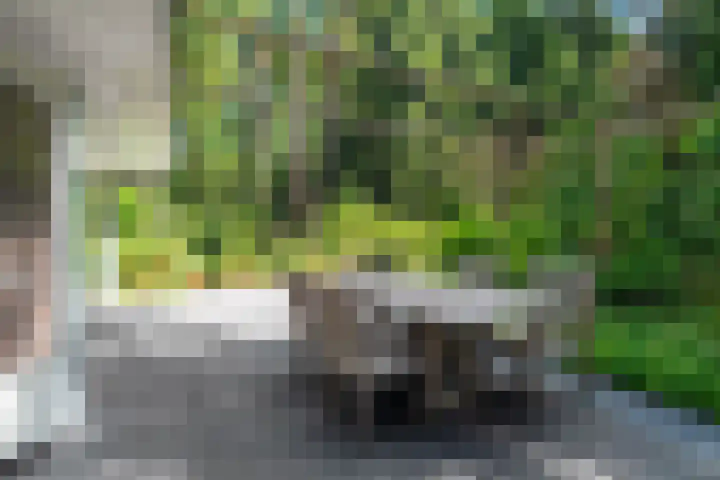 Voorsteweg 13 Norg thumbnail 63