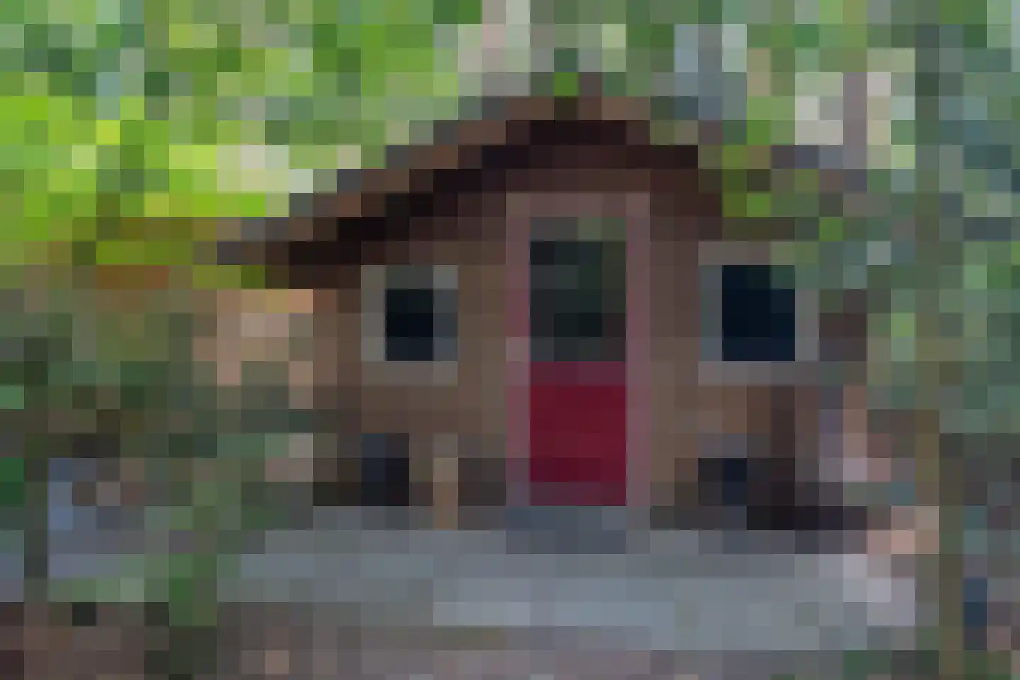 Voorsteweg 13 Norg thumbnail 66