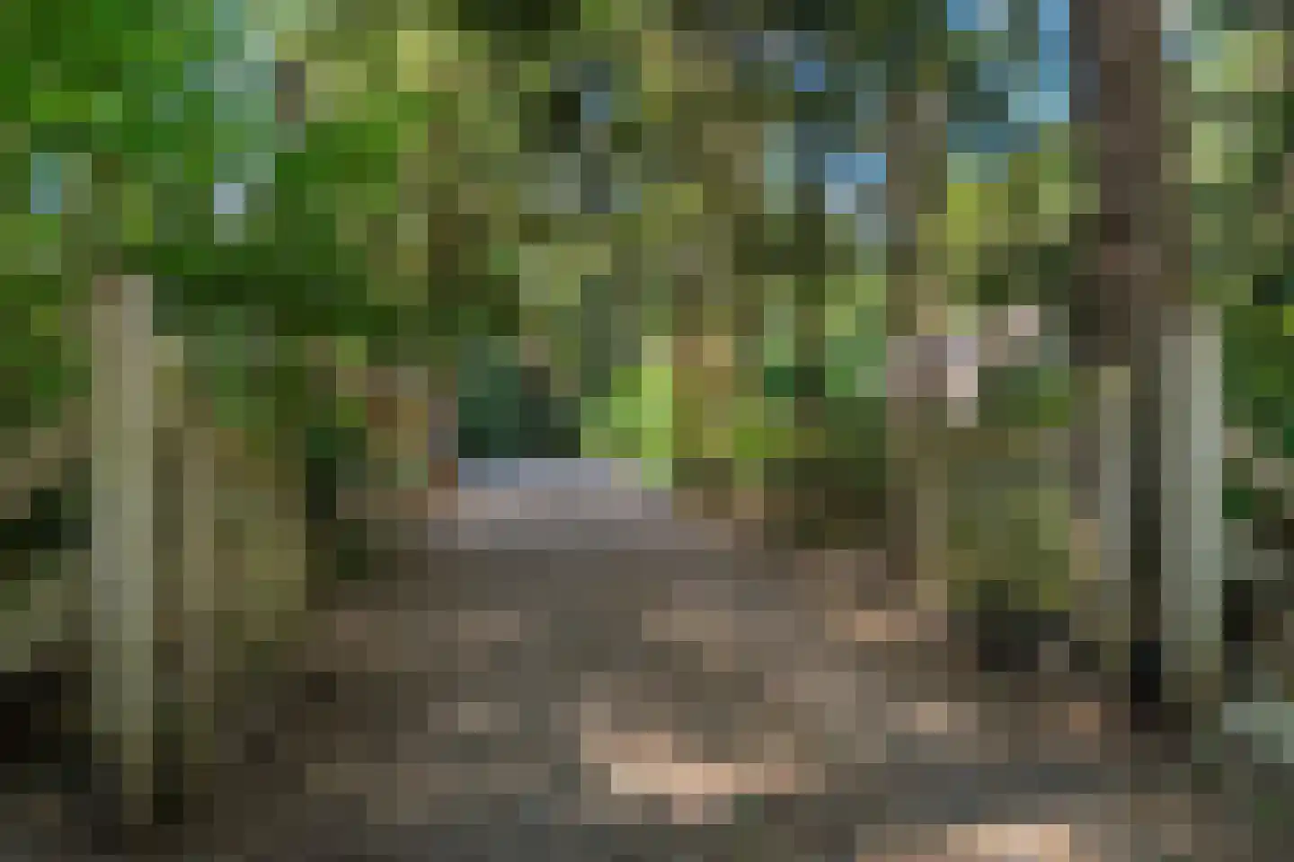 Voorsteweg 13 Norg thumbnail 67