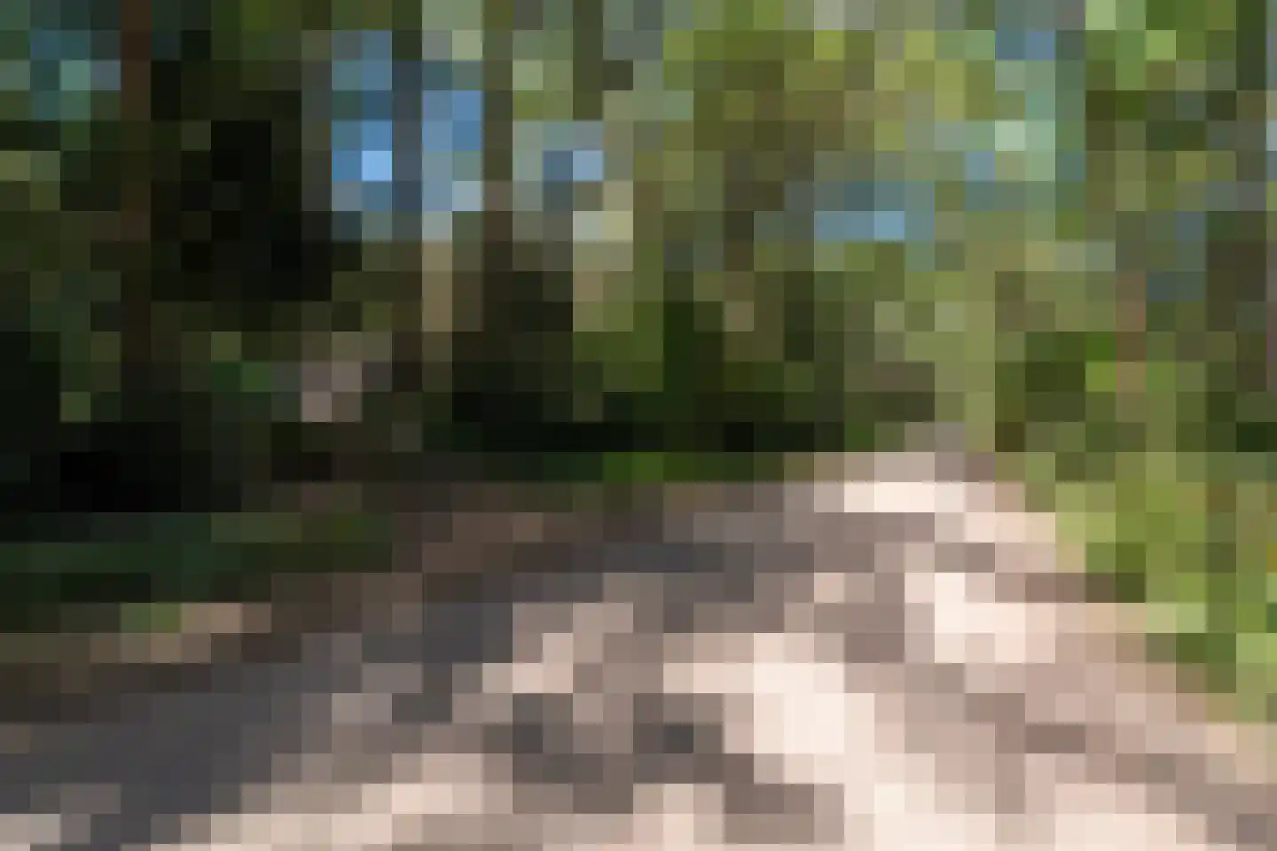 Voorsteweg 13 Norg thumbnail 68