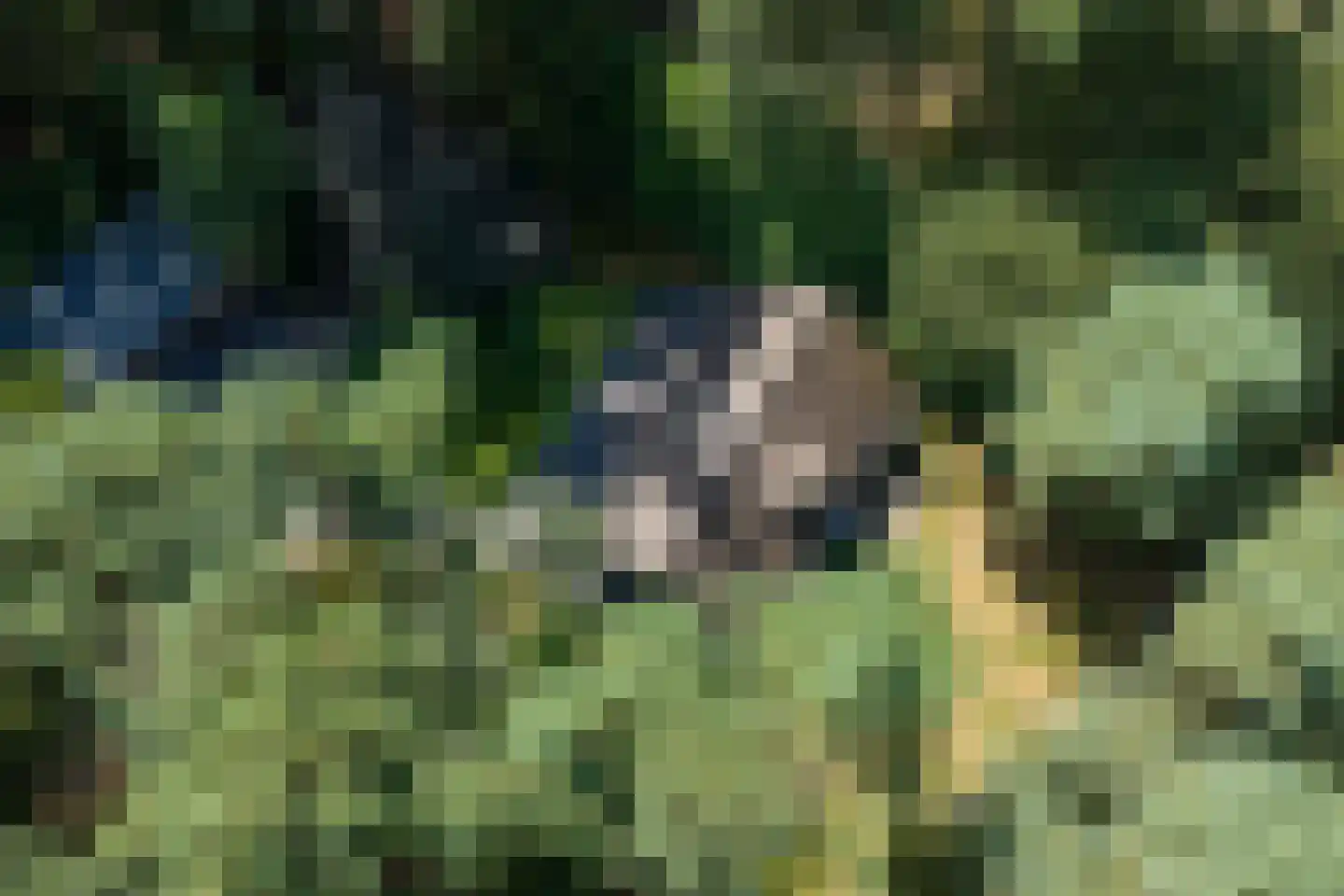 Voorsteweg 13 Norg thumbnail 69