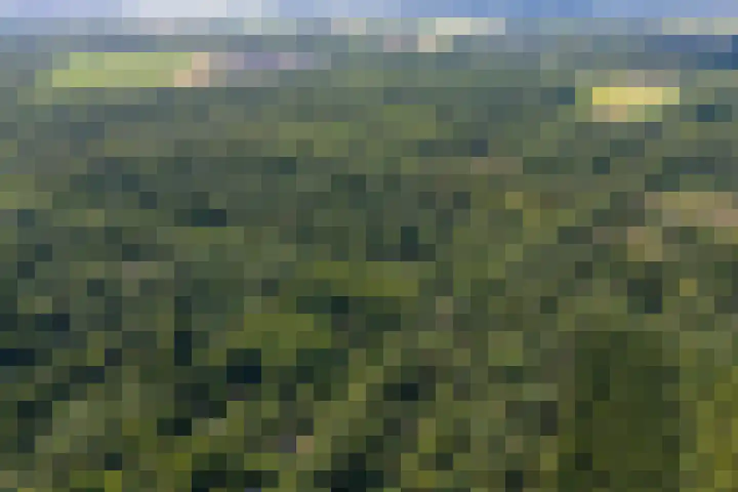 Voorsteweg 13 Norg thumbnail 71