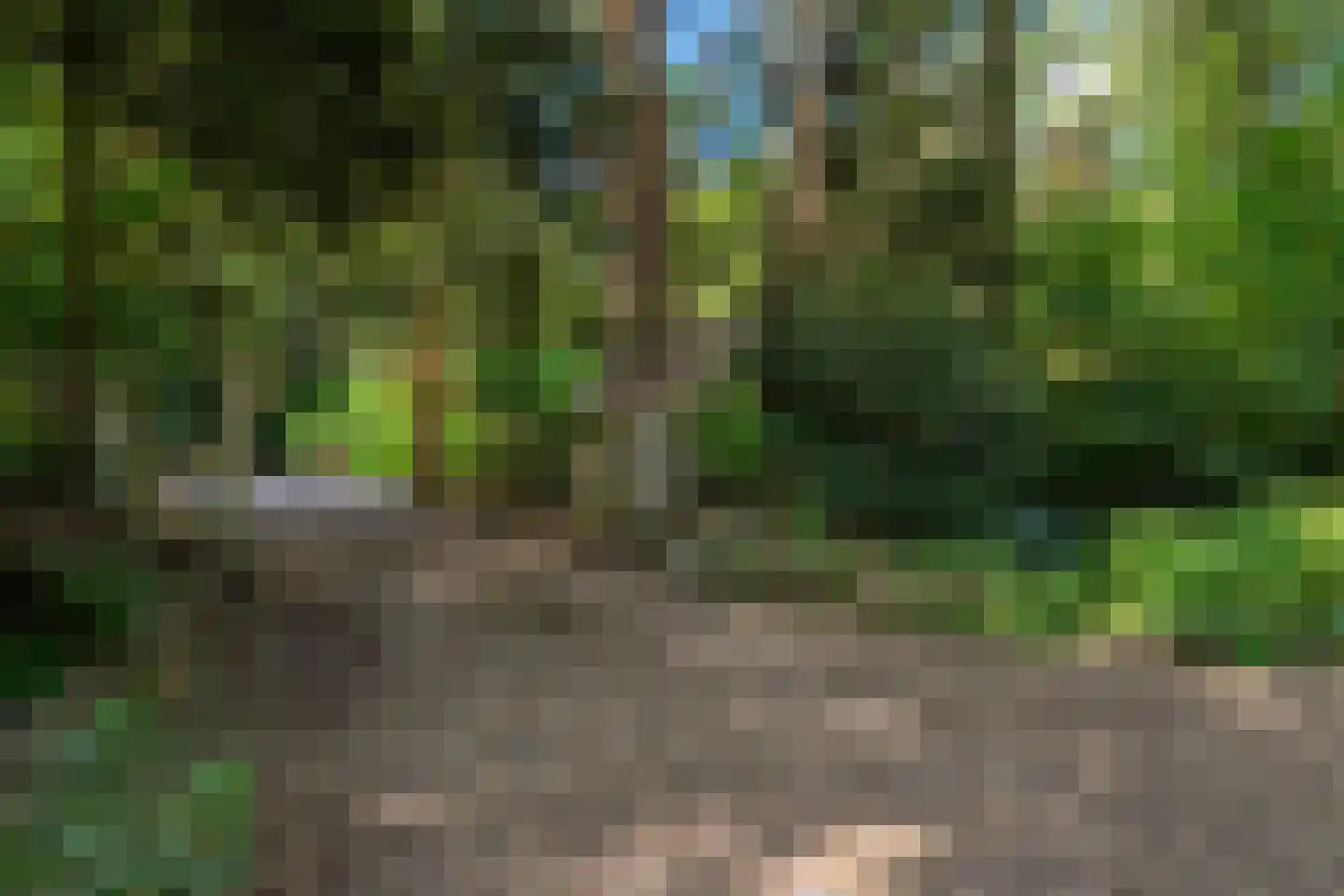 Voorsteweg 13 Norg thumbnail 9