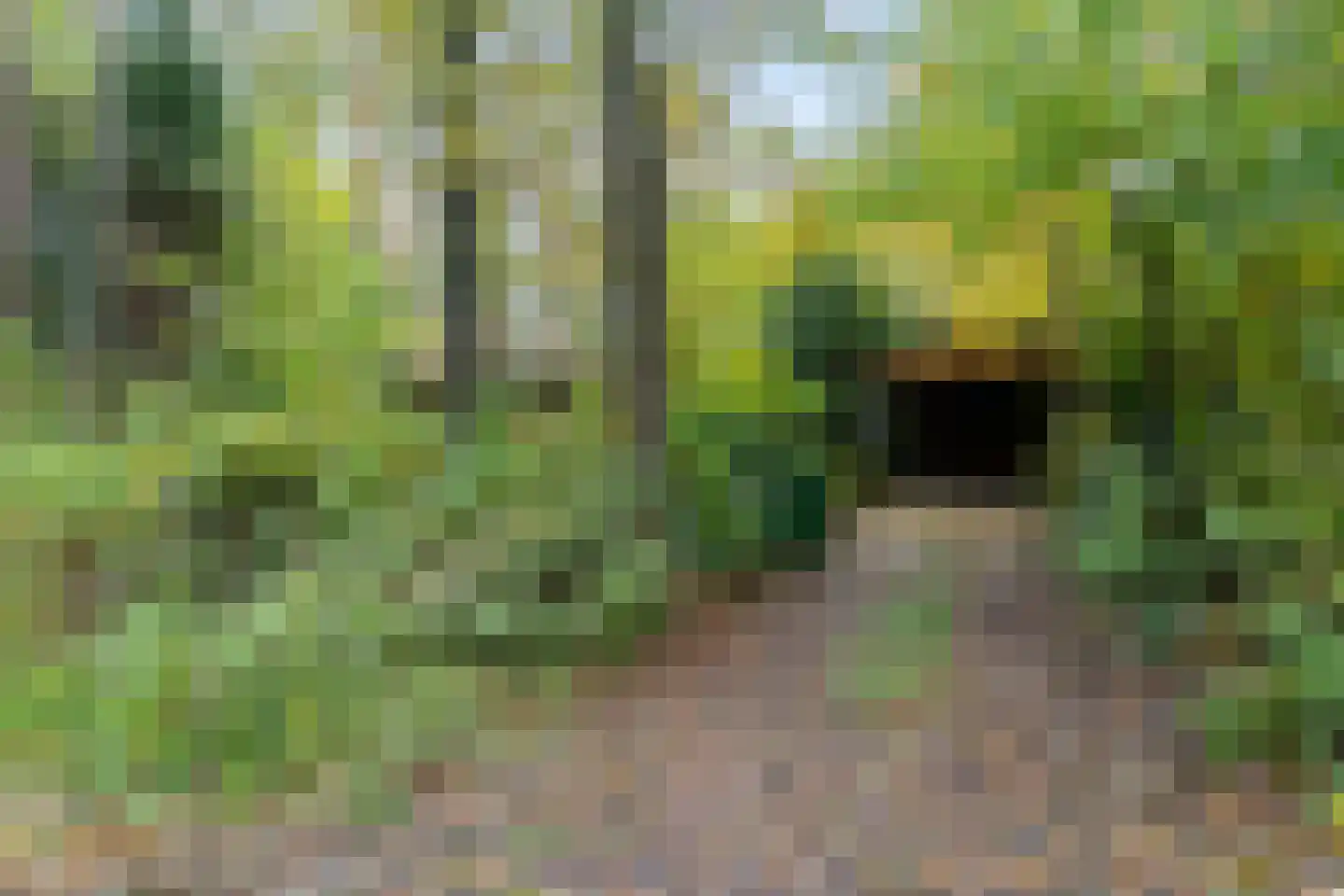 Voorsteweg 19 en Norg