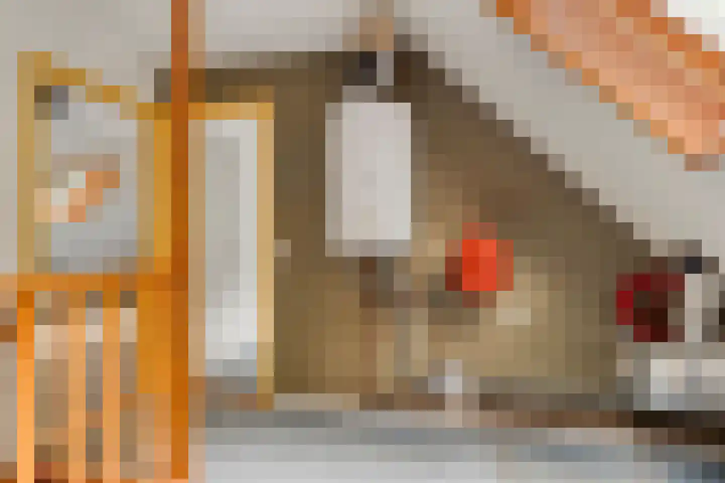 Voorsteweg 19 Norg thumbnail 18