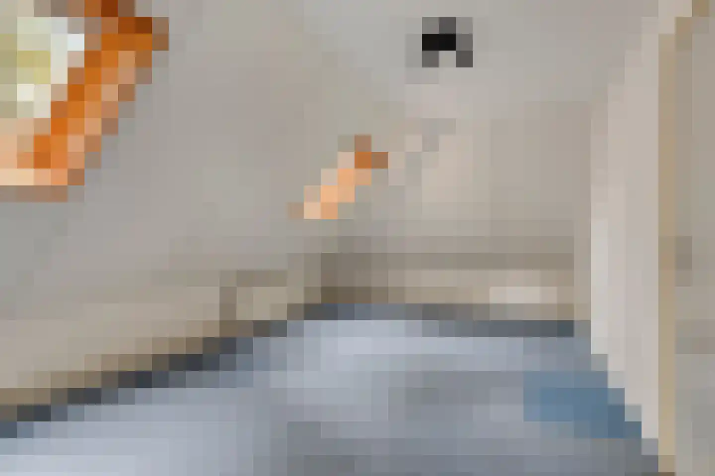 Voorsteweg 19 Norg thumbnail 19
