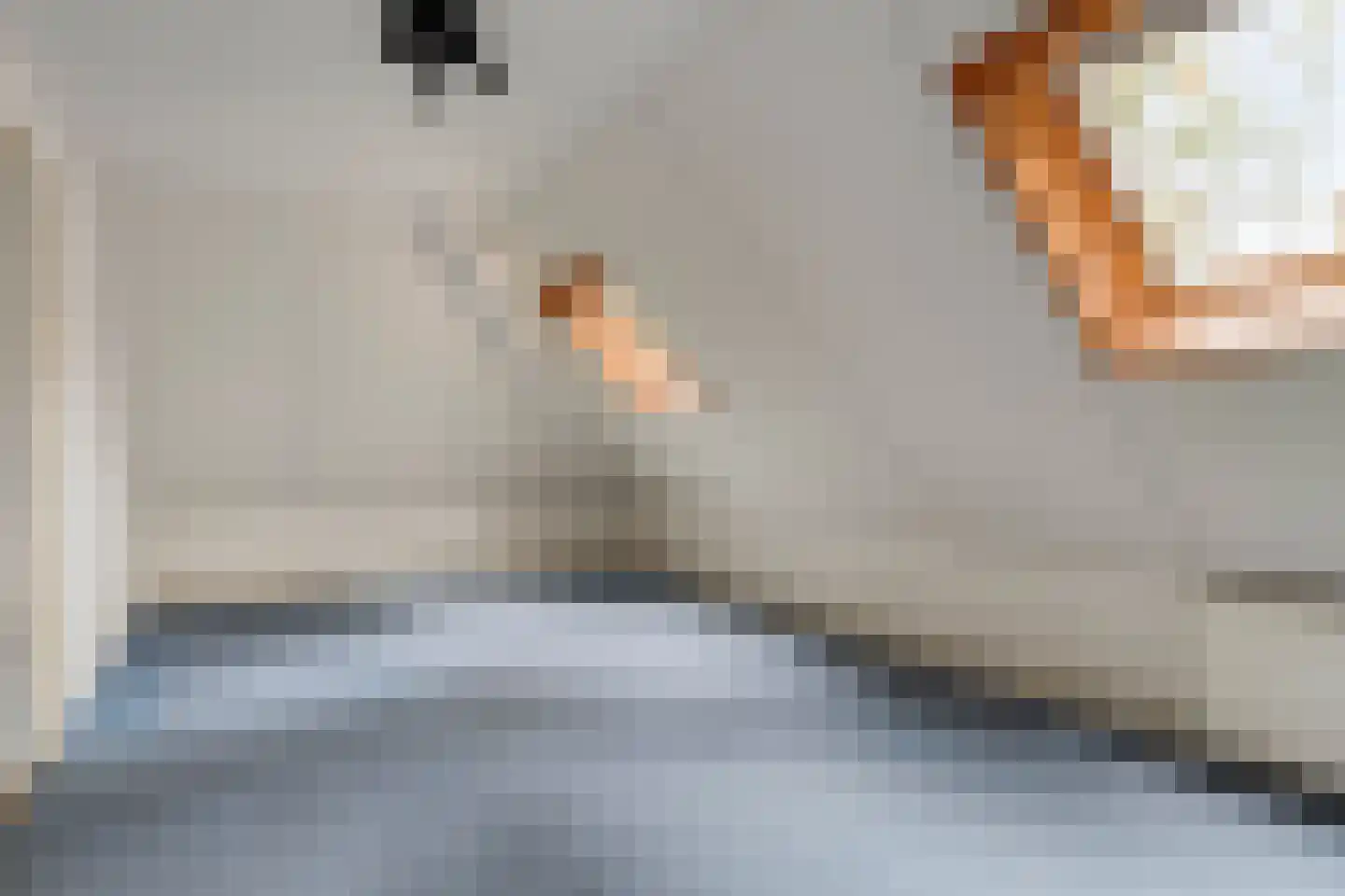 Voorsteweg 19 Norg thumbnail 20