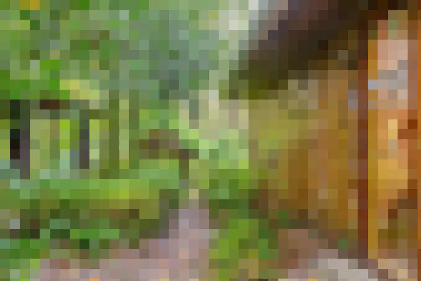 Voorsteweg 19 Norg thumbnail 22