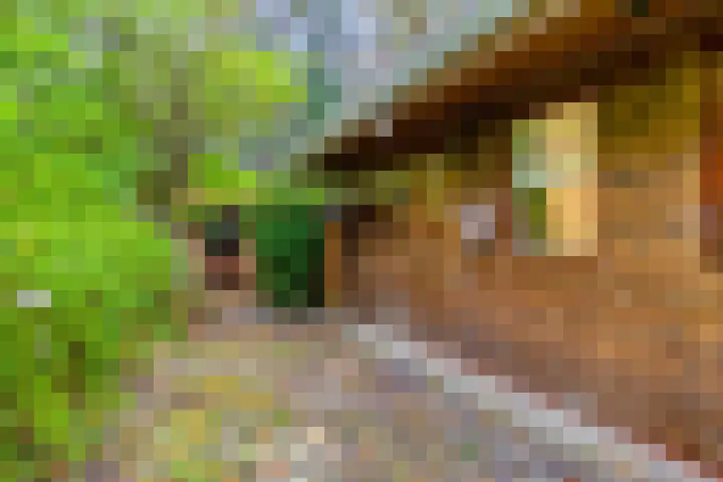 Voorsteweg 19 Norg thumbnail 24