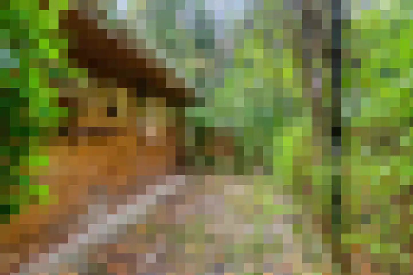 Voorsteweg 19 Norg thumbnail 25