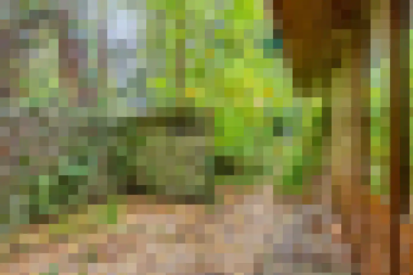 Voorsteweg 19 Norg thumbnail 26