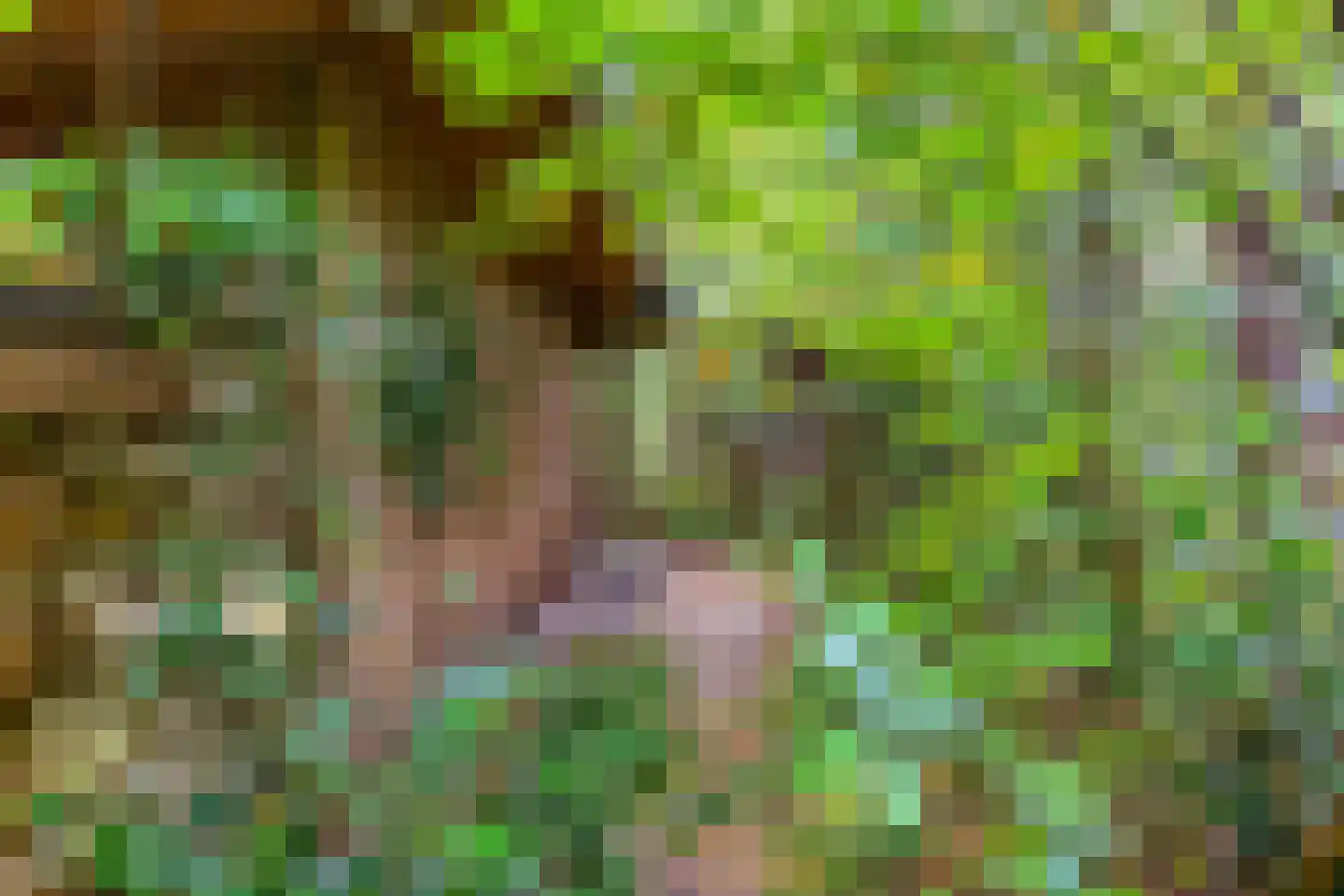 Voorsteweg 19 Norg thumbnail 27