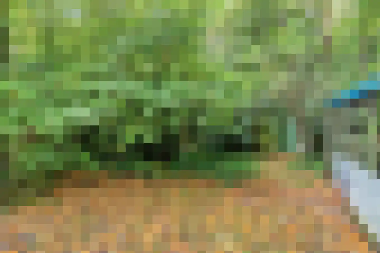 Voorsteweg 19 Norg thumbnail 28