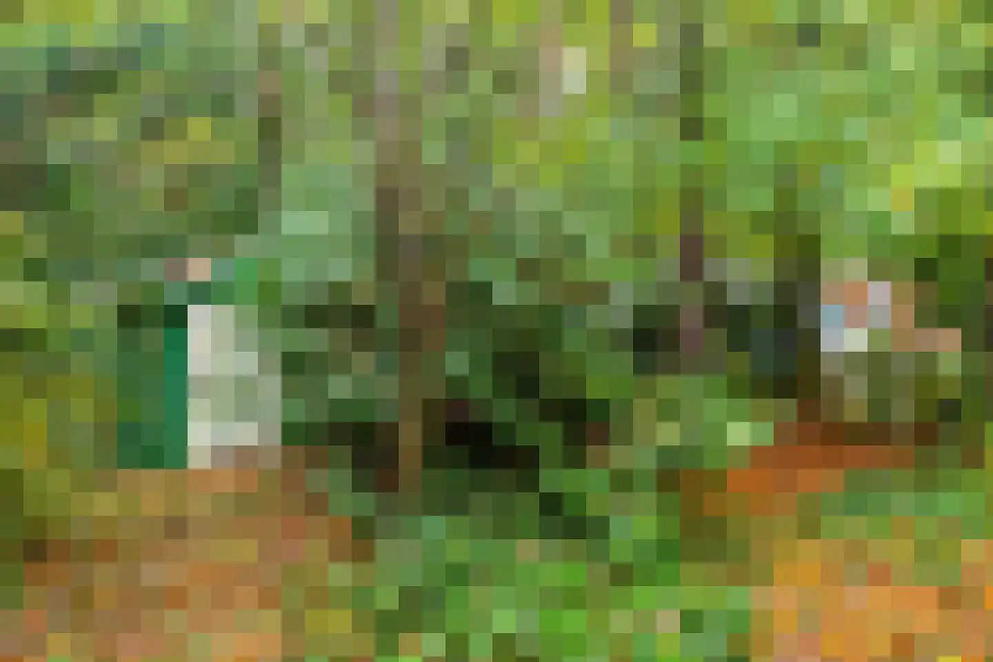 Voorsteweg 19 Norg thumbnail 30