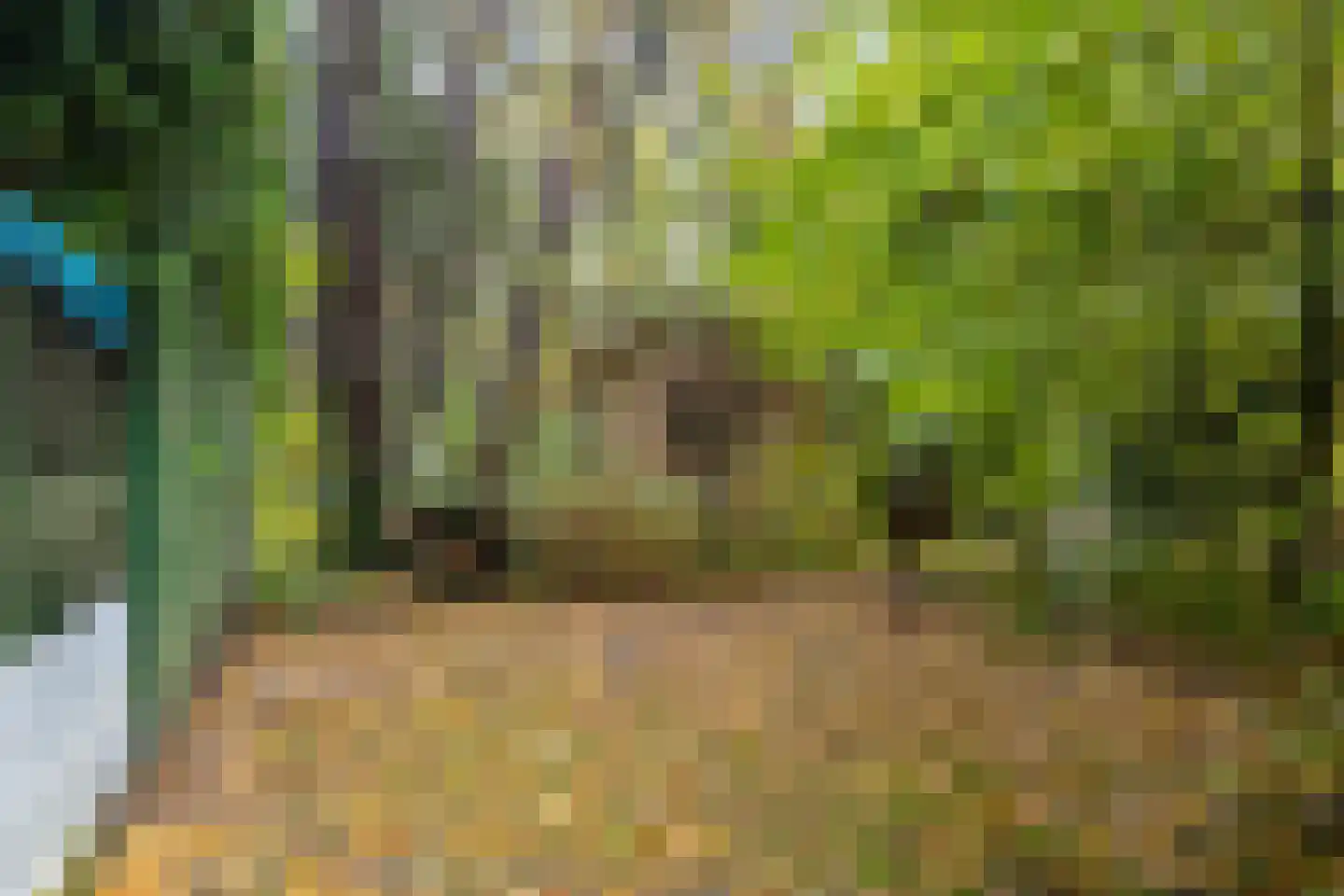 Voorsteweg 19 Norg thumbnail 31