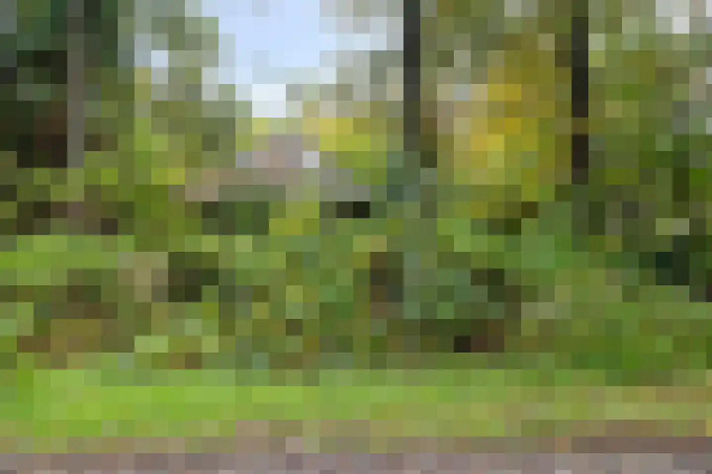 Voorsteweg 19 Norg thumbnail 32