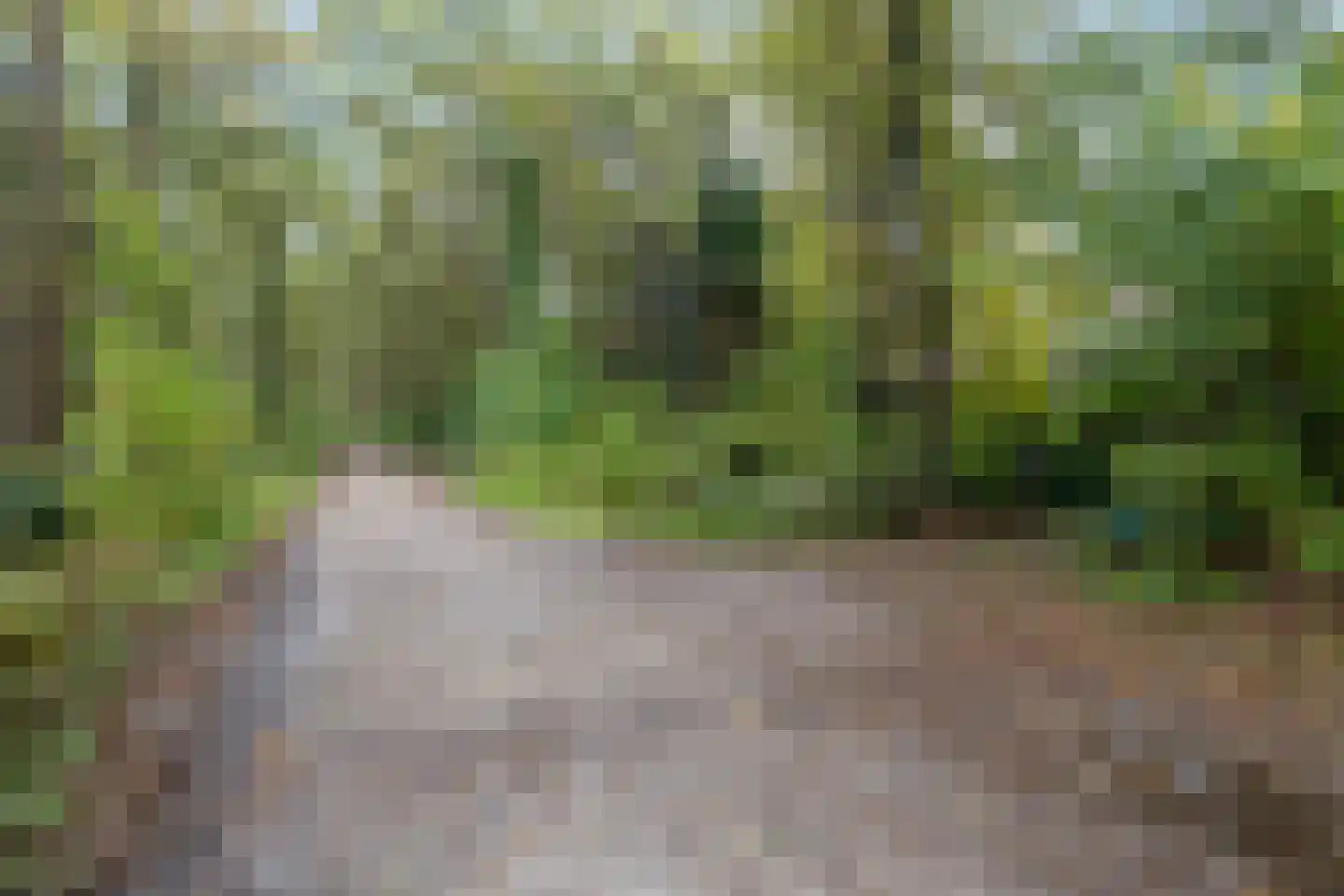 Voorsteweg 19 Norg thumbnail 34