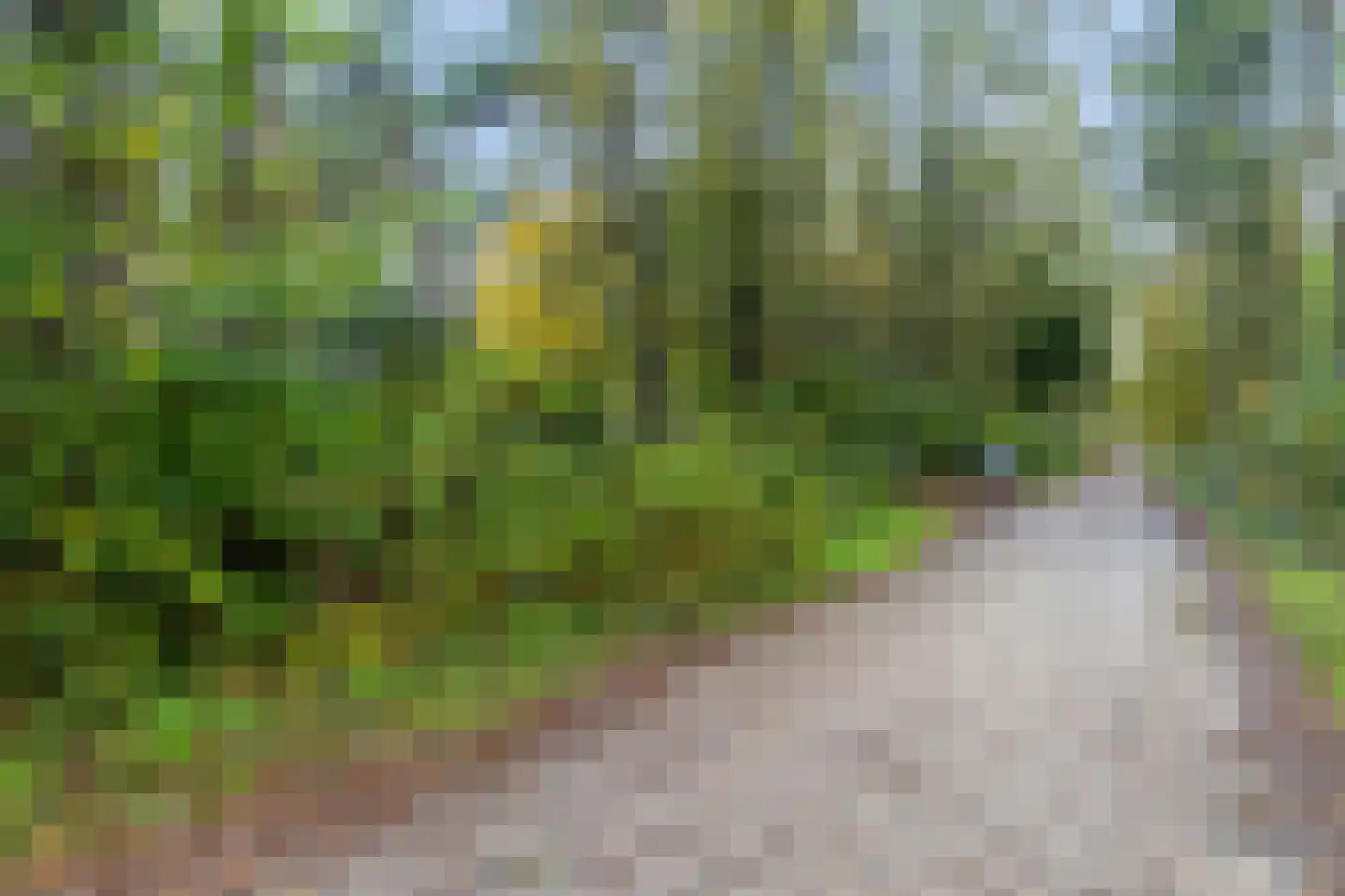 Voorsteweg 19 Norg thumbnail 35